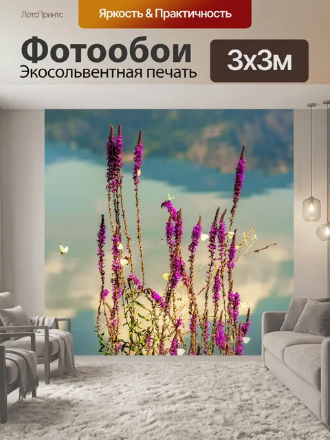 Фотообои Бабочки
