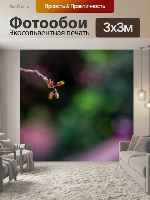 Фотообои Каменного лотоса