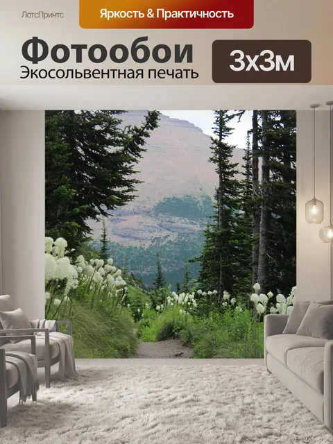 Фотообои Горная тропа