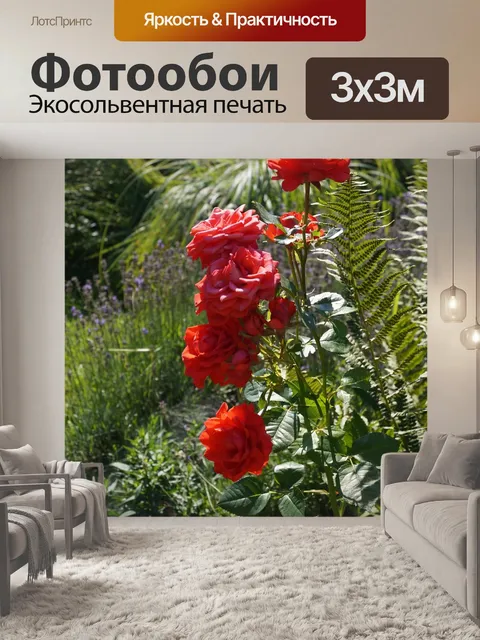 Фотообои Розы