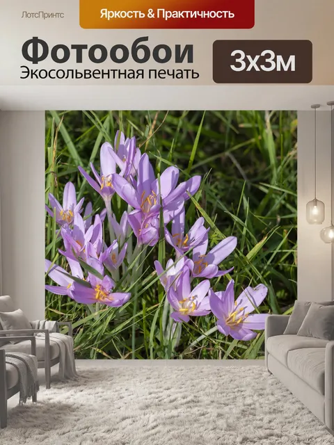 Фотообои Цветы