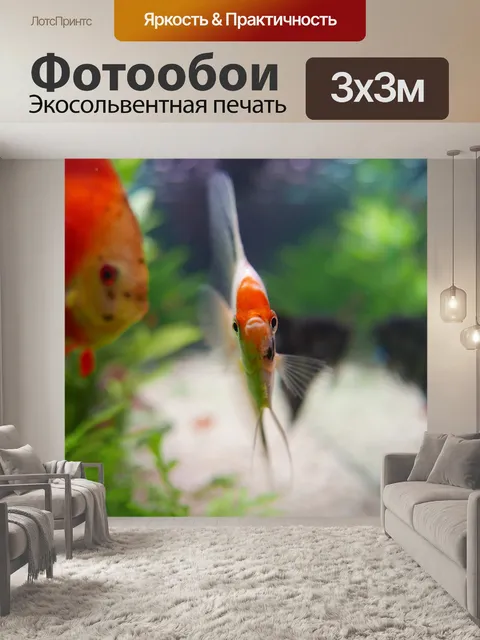 Фотообои Рыбы