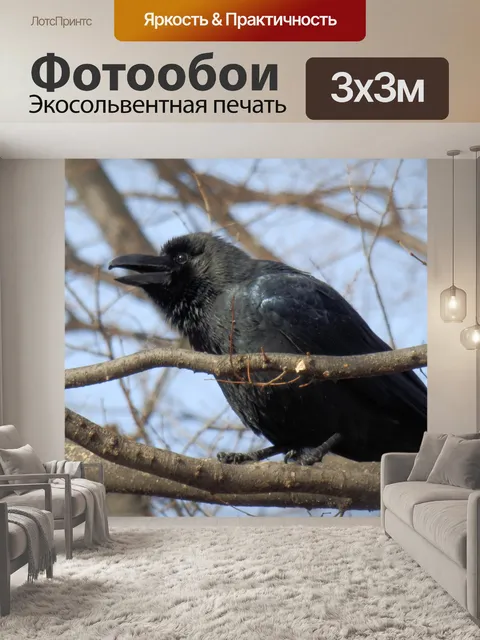 Фотообои Джунгли Crow