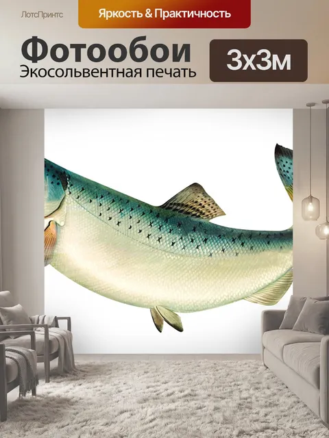 Фотообои Рыба лосось старинный плакат