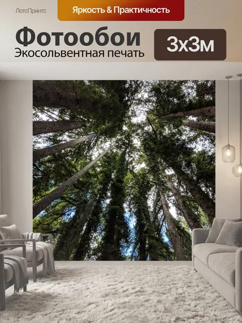 Фотообои Деревья