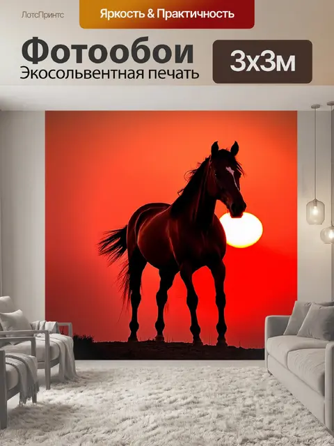 Фотообои конь на фоне красного заката, контрастные цвета