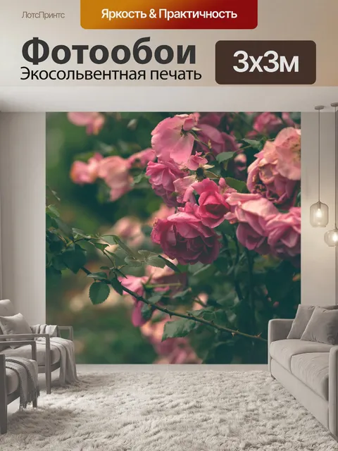 Фотообои нежные розы