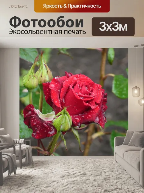Фотообои Природа