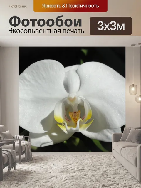 Фотообои Цветок