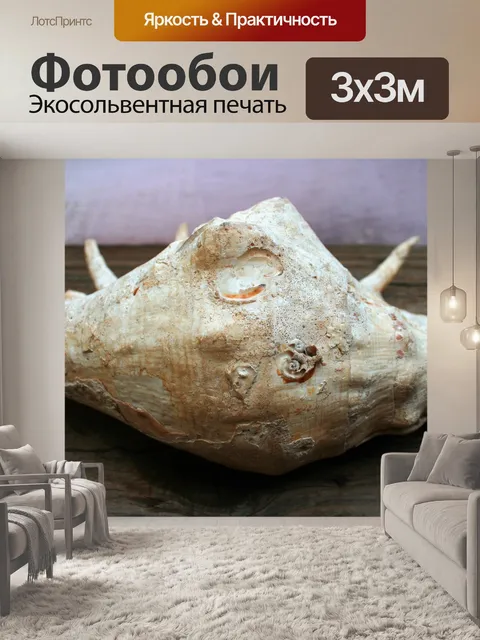 Фотообои крупная морская раковина текстуры