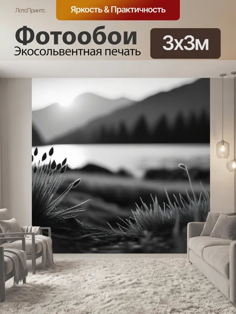 Фотообои пейзаж с природой закат чернобелый