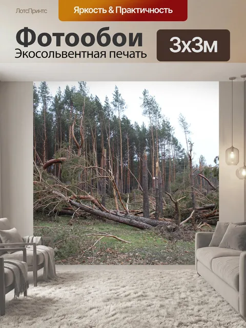 Фотообои Дерево