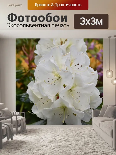 Фотообои Цветок