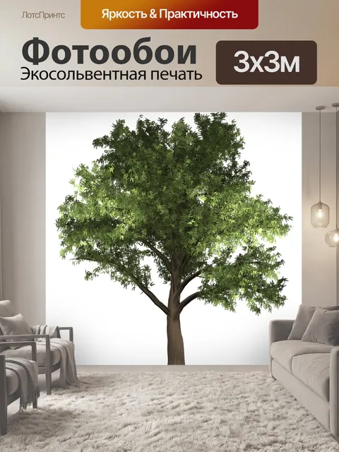 Фотообои Дерево