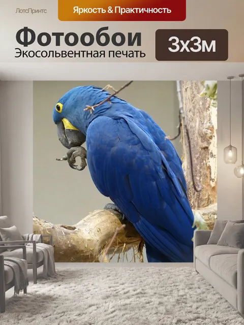 Фотообои Птица