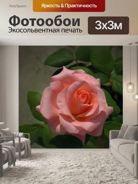 Фотообои Просто розы