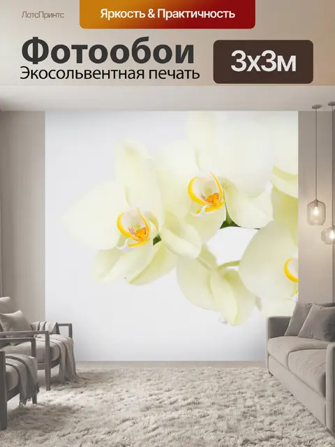 Фотообои Цветок