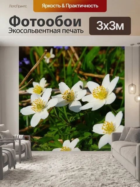 Фотообои Древесные анемоны