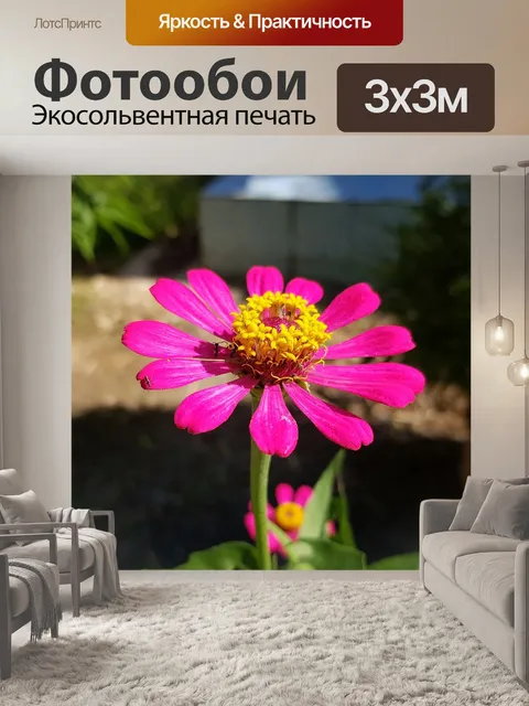 Фотообои Цветы