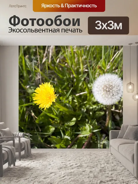 Фотообои Одуванчики