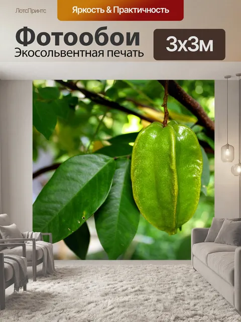 Фотообои Карамбола Звездные фрукты Бесплатное изо