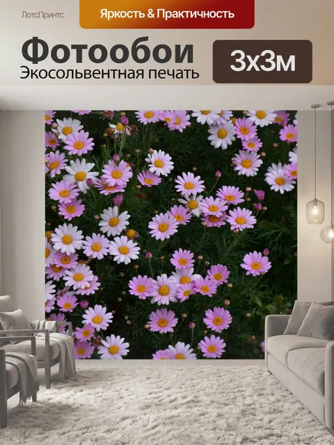 Фотообои Розовые ромашки