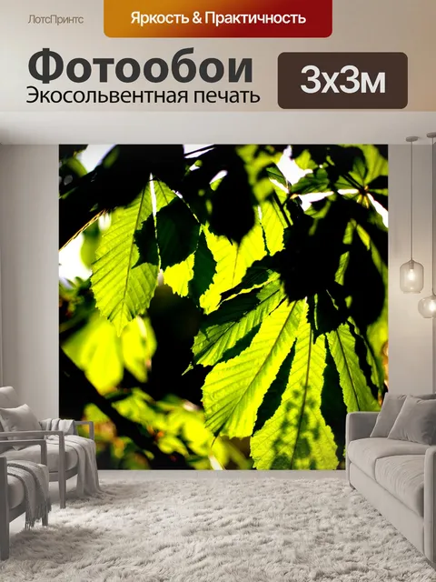 Фотообои Деревья