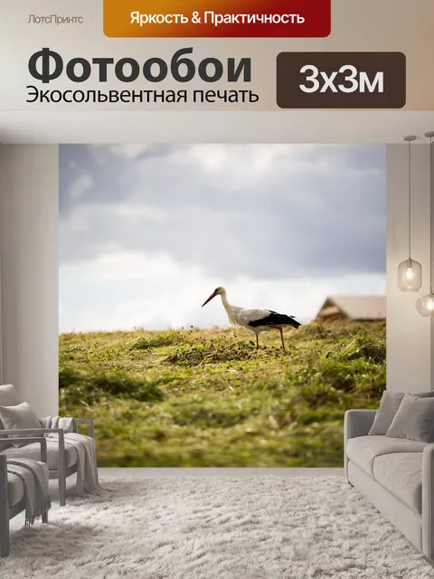 Фотообои Аист