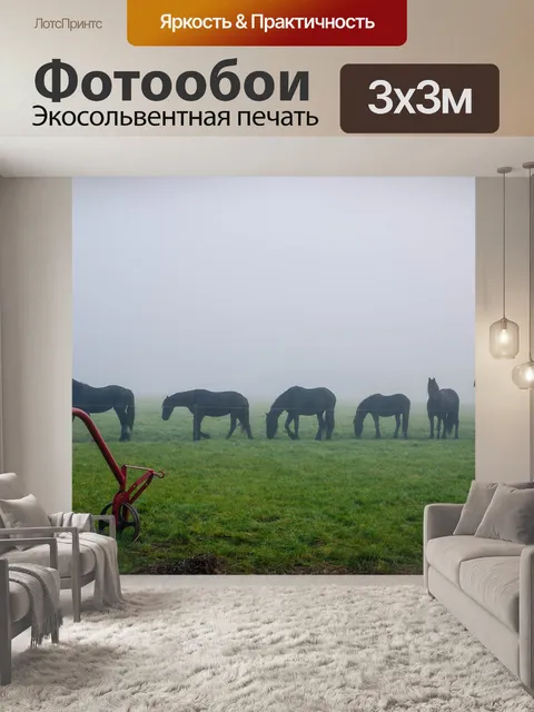 Фотообои Лошадь