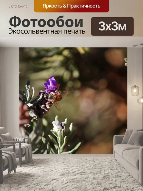 Фотообои медоносная пчела на цветке лаванды
