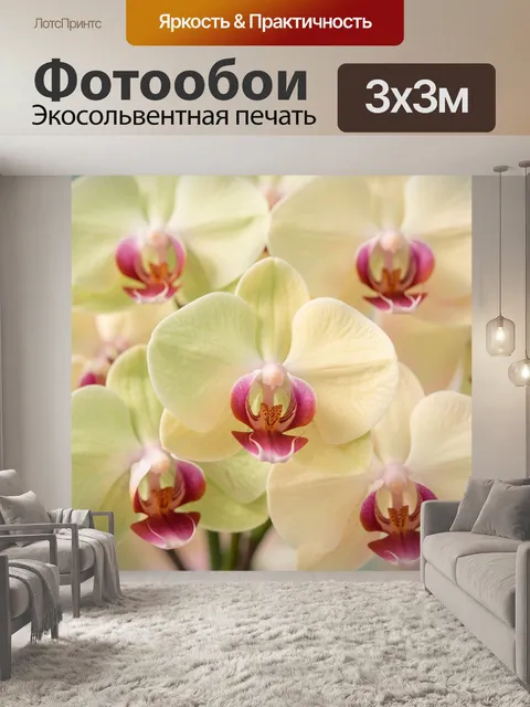 Фотообои Орхидеи в нежных пастельных тонах