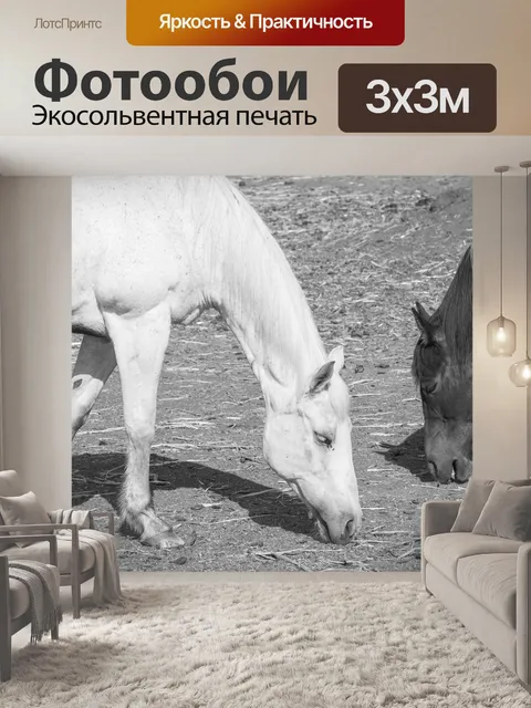 Фотообои Лошади