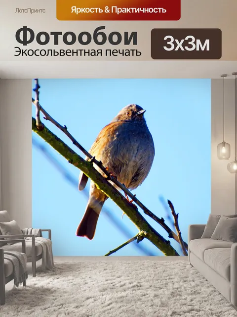 Фотообои Птица