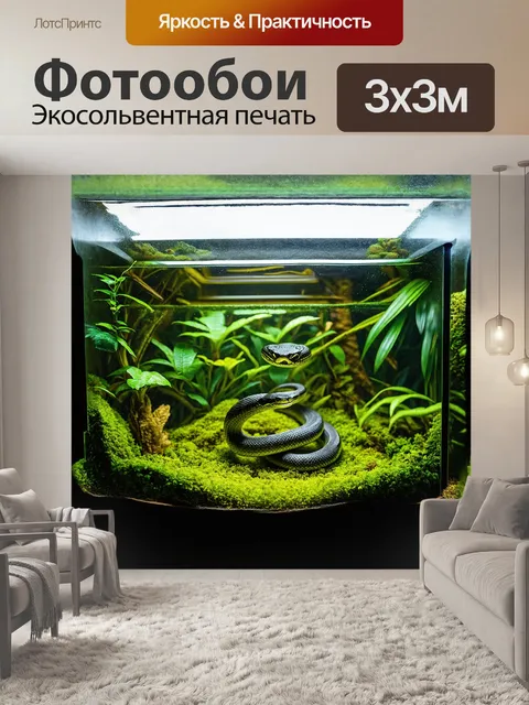 Фотообои **террариум со змеёй