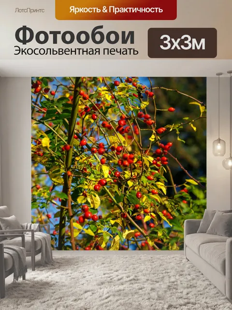 Фотообои Ботанический сад в Быдгоще
