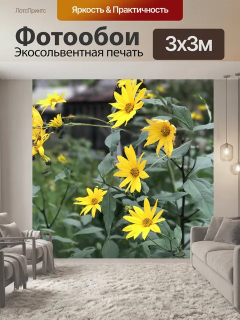 Фотообои Цветы