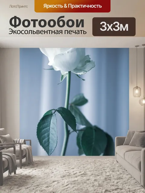 Фотообои Роза