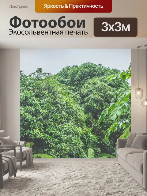 Фотообои Лес