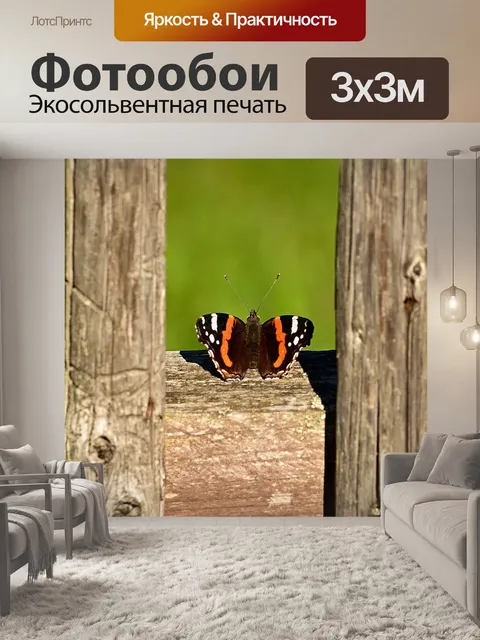 Фотообои Бабочка