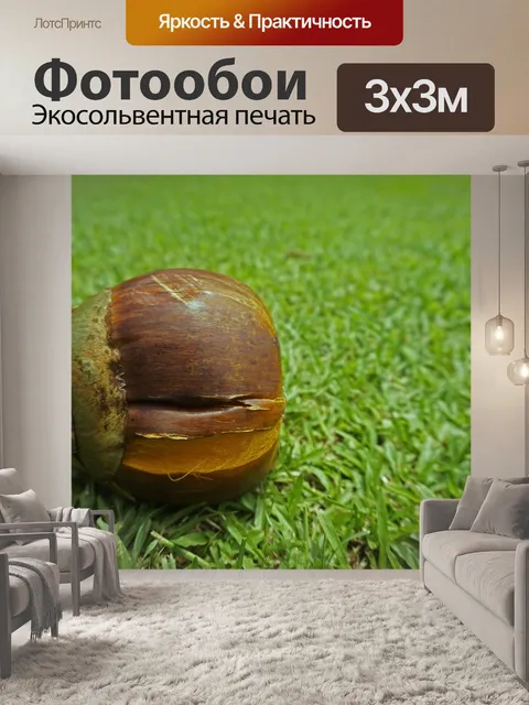 Фотообои Ладонь