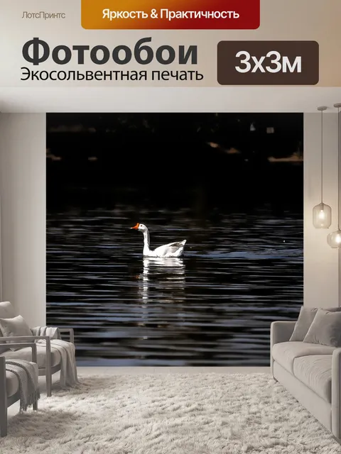 Фотообои Гусь
