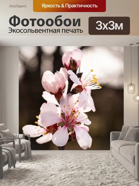 Фотообои Цветы