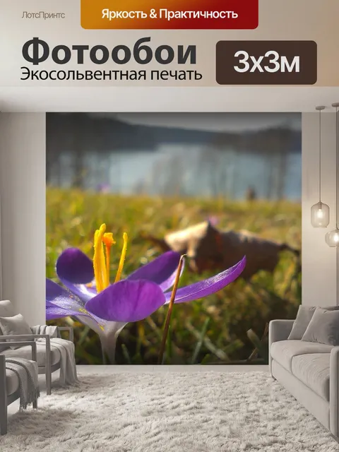 Фотообои Цветок