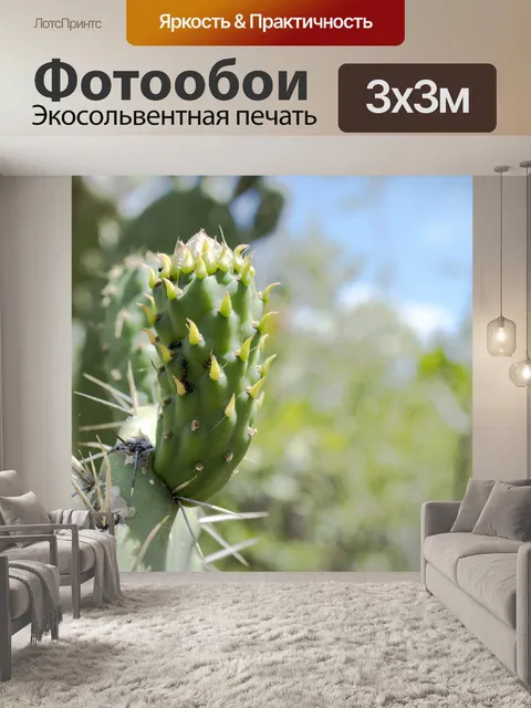 Фотообои Опунция