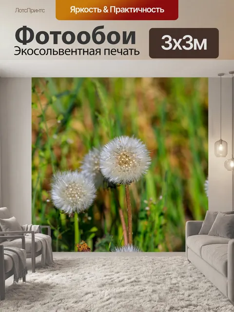 Фотообои Весенние цветы