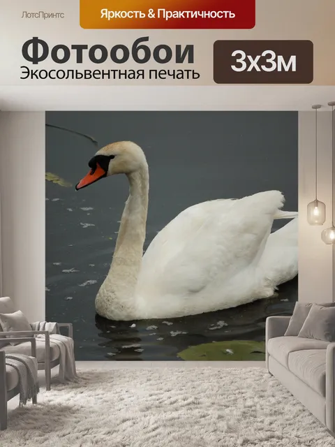 Фотообои Птицы