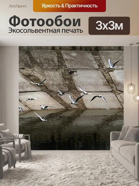 Фотообои Чайки