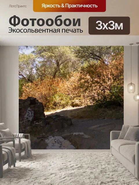 Фотообои Под мостом