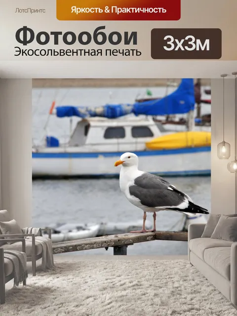 Фотообои Чайка в порту # 2