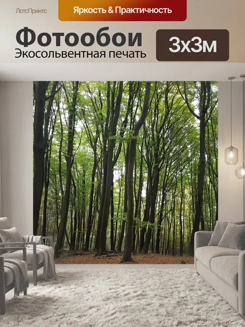 Фотообои Лес